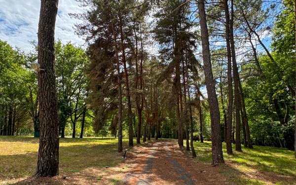 Maison à vendre    6 pièces • 173 m2 Périgueux