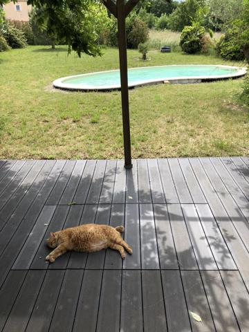 CINTEGABELLE-Maison 5 pièces 135 m² Cintegabelle (31550)