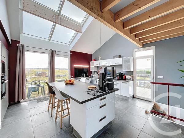 Maison à vendre  9 pièces - 341 m 2   STE SIGOLENE  - 43