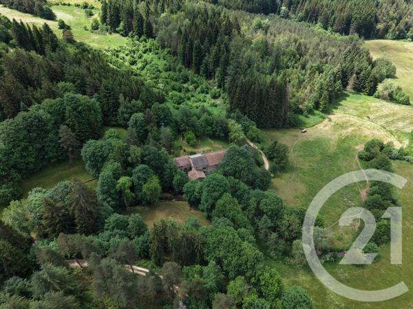 Maison à vendre  9 pièces - 341 m 2   STE SIGOLENE  - 43