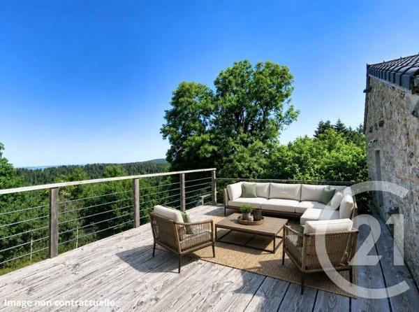 Maison à vendre  9 pièces - 341 m 2   STE SIGOLENE  - 43