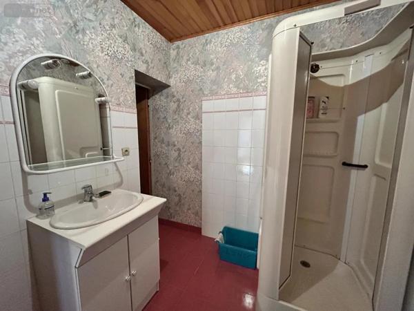 Achat - Immeuble Le Palais 56360 264 m 2