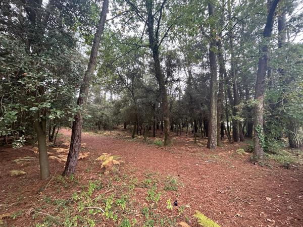 Opportunité rare sur le secteur