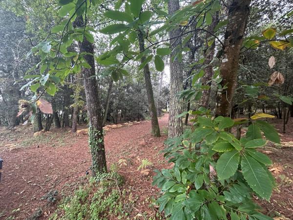 Opportunité rare sur le secteur