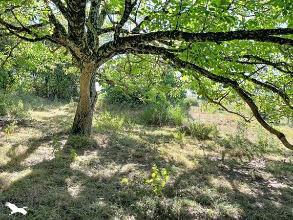 Maison à vendre 192 000 € Molières 3 p 92 m² DPE D