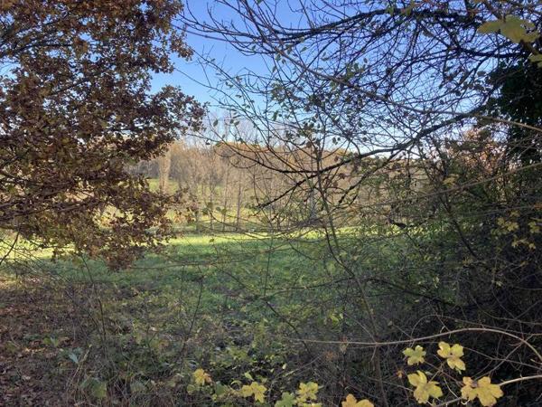 Terrain à vendre |  Meyssac |  3475 m²