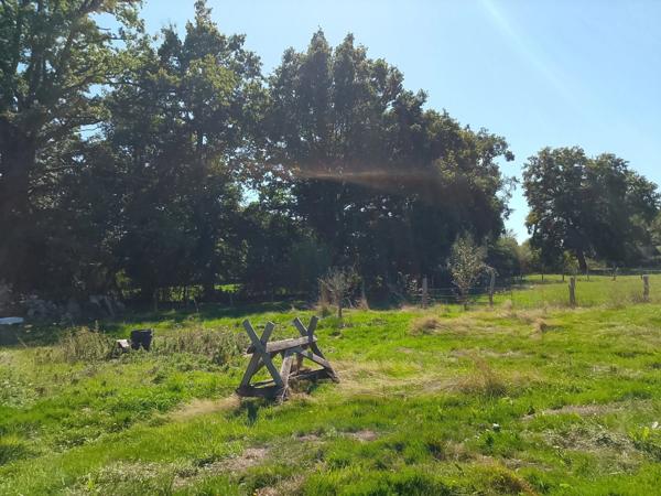 Maison à vendre 5 pièces LURCY-LÉVIS (03)