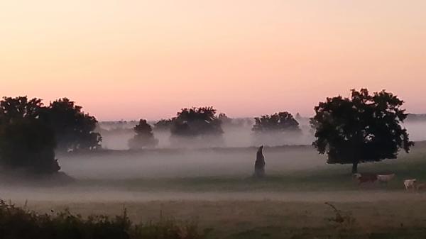 Maison à vendre 5 pièces LURCY-LÉVIS (03)