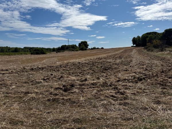 Terrains agricoles de 22780m² entre MEZE et MONTAGNAC