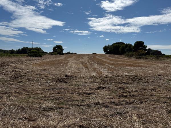 Terrains agricoles de 22780m² entre MEZE et MONTAGNAC