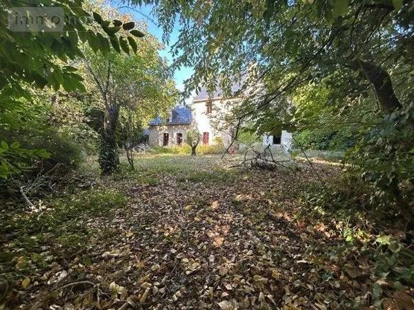 Achat - Maison | Maison Fontaine-Milon 49140 9 pièces 154 m 2 4452 m 2