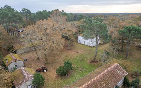 Maison à vendre    7 pièces •  Saint-Paul-en-Born