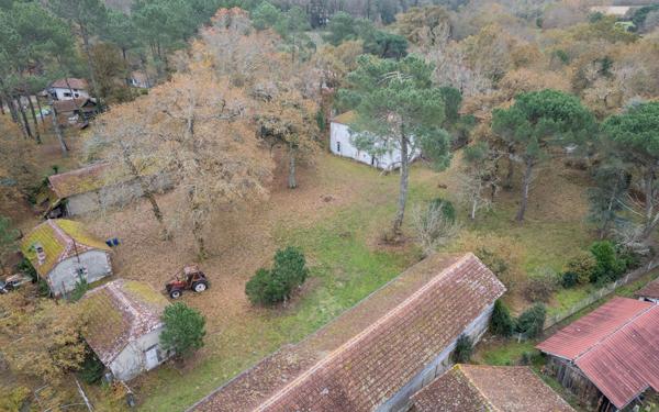 Maison à vendre    7 pièces •  Saint-Paul-en-Born