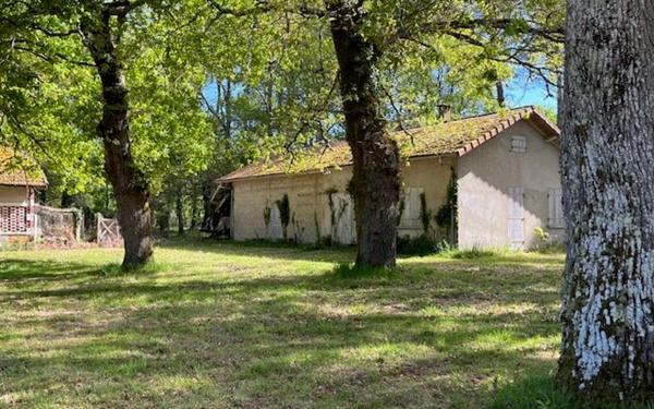 Maison à vendre    7 pièces •  Saint-Paul-en-Born