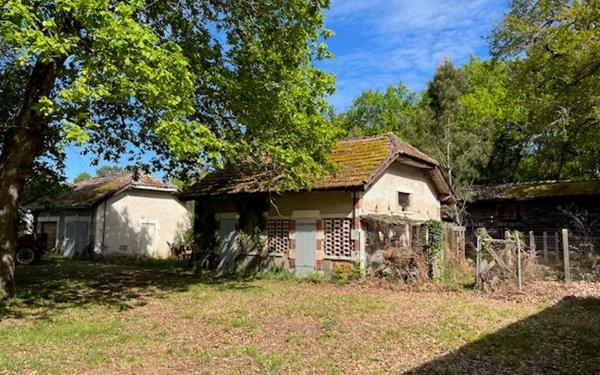 Maison à vendre    7 pièces •  Saint-Paul-en-Born