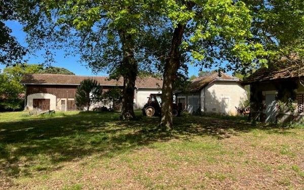 Maison à vendre    7 pièces •  Saint-Paul-en-Born