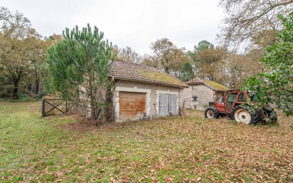 Maison à vendre    7 pièces •  Saint-Paul-en-Born