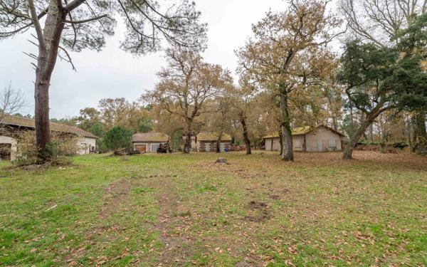 Maison à vendre    7 pièces •  Saint-Paul-en-Born