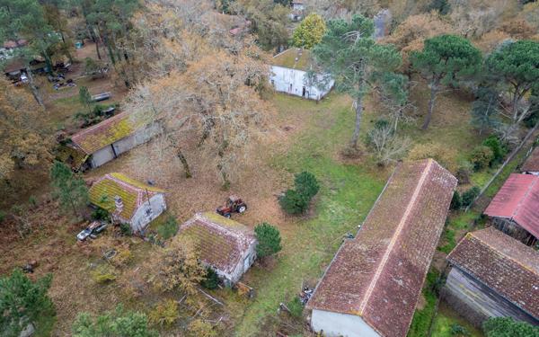 Maison à vendre    7 pièces •  Saint-Paul-en-Born