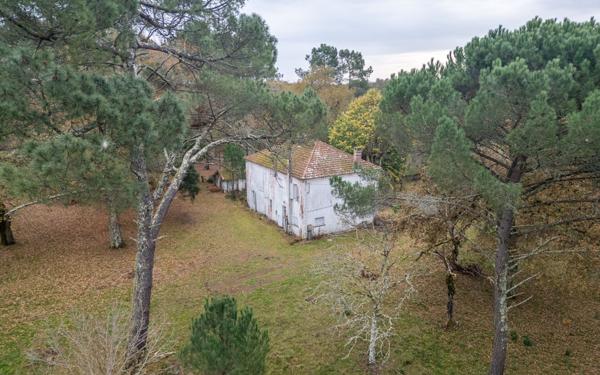 Maison à vendre    7 pièces •  Saint-Paul-en-Born