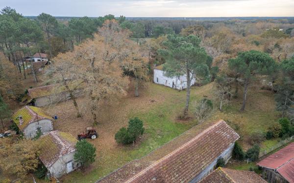 Maison à vendre    7 pièces •  Saint-Paul-en-Born
