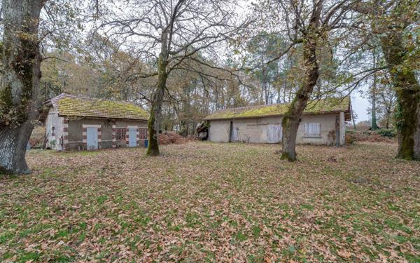 Maison à vendre    7 pièces •  Saint-Paul-en-Born