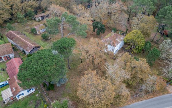 Maison à vendre    7 pièces •  Saint-Paul-en-Born