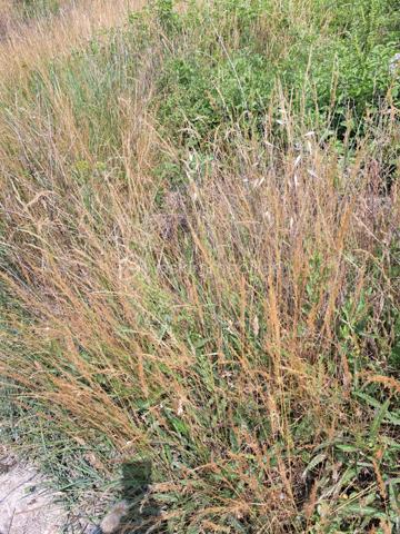 Lotissement de 2 003 m²