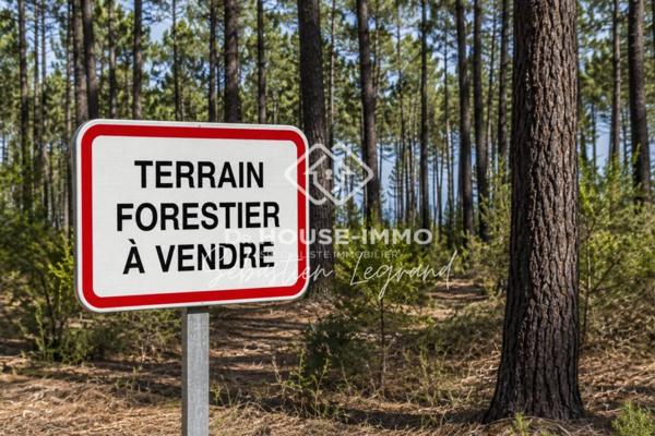 Terrain à vendre de 2 811 m²