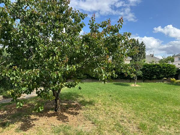 Maison à rénover 5 chambres centre ville de Doué la Fontaine