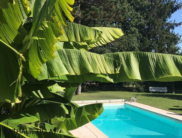 Orléans limite Olivet, proche bord Loiret , à vendre maison avec jardin