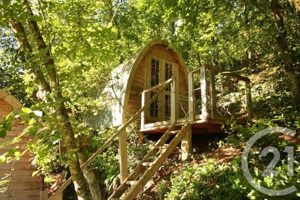 Maison à vendre  11 pièces - 360 m2 CARSAC AILLAC - 24