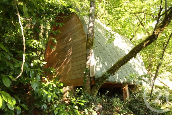 Maison à vendre  11 pièces - 360 m2 CARSAC AILLAC - 24