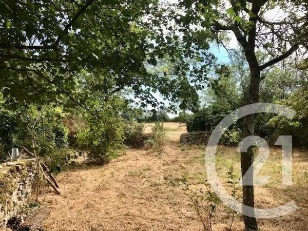 Maison à vendre  4 pièces - 96,67 m 2   NEUILLY EN DUN  - 18