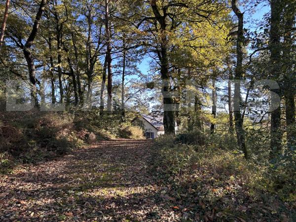 Coup de cœur dans la vallée du Gijou