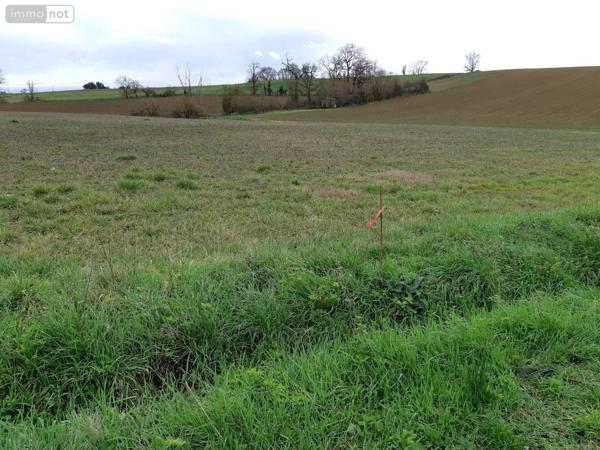 Terrain à Batir à vendre à Sainte-Christie dans le Gers (32390), ref : 23/2053