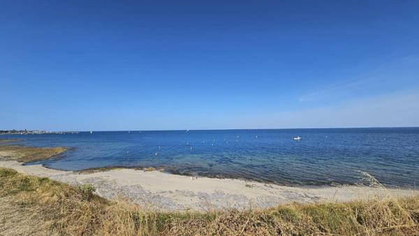 Vue mer, accès direct à la plage