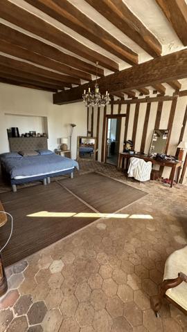 À vendre - Maison de maître, 12 pièces situé à Montoire-sur-le-Loir (41800)