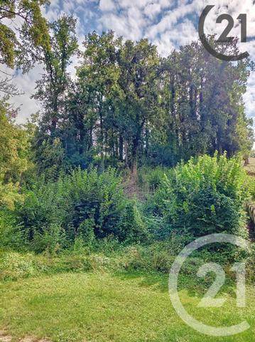 Terrain à vendre  1360 m2 QUENNE - 89