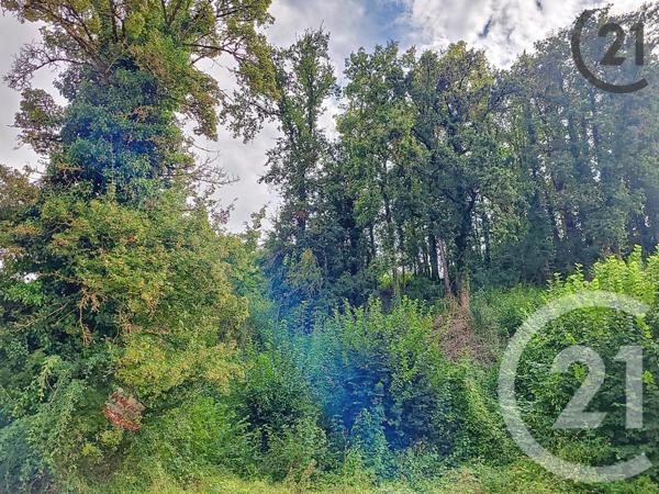 Terrain à vendre  1360 m2 QUENNE - 89