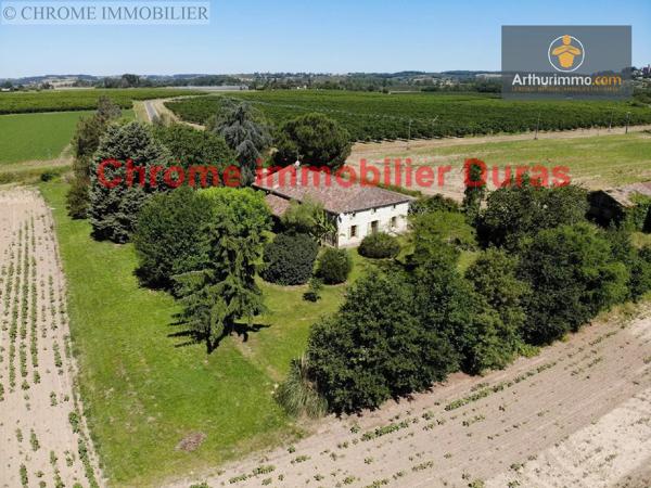 Vente                                                      Maison
                        
                     8 pièces                      239 m2                     à Monségur