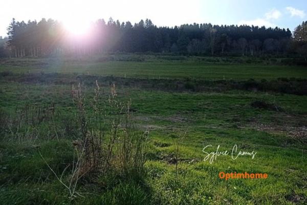 Terrain à vendre de 756 DUNIERES (43), vue dégagée et cadre agréable