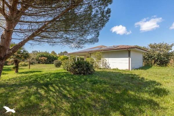 Maison à vendre |  Lège-Cap-Ferret |  4 pièces | 105 m²