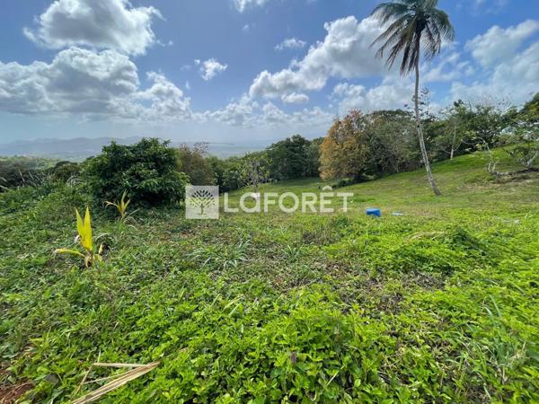 Achat terrain Sainte-Luce - 2900 m² - 299 600 €