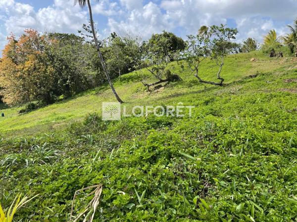 Achat terrain Sainte-Luce - 2900 m² - 299 600 €