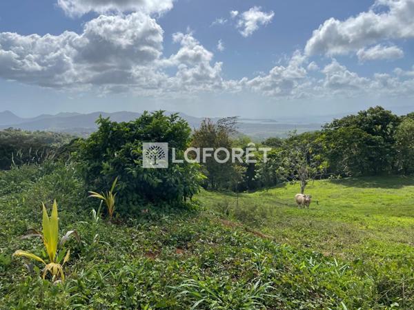 Achat terrain Sainte-Luce - 2900 m² - 299 600 €