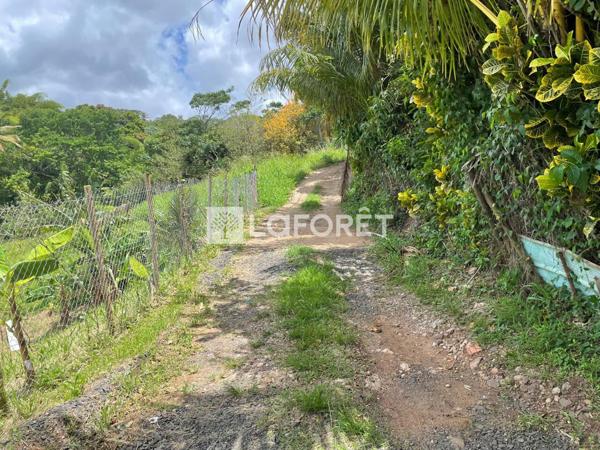 Achat terrain Sainte-Luce - 2900 m² - 299 600 €