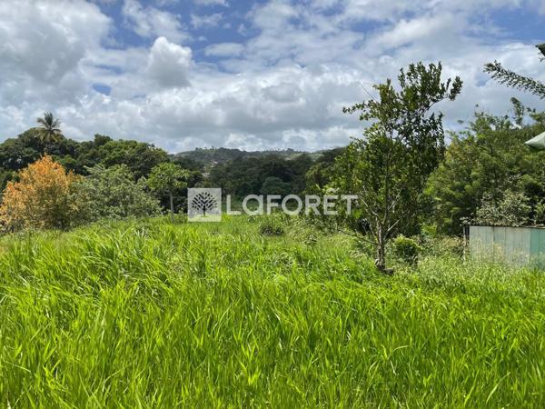 Achat terrain Sainte-Luce - 2900 m² - 299 600 €