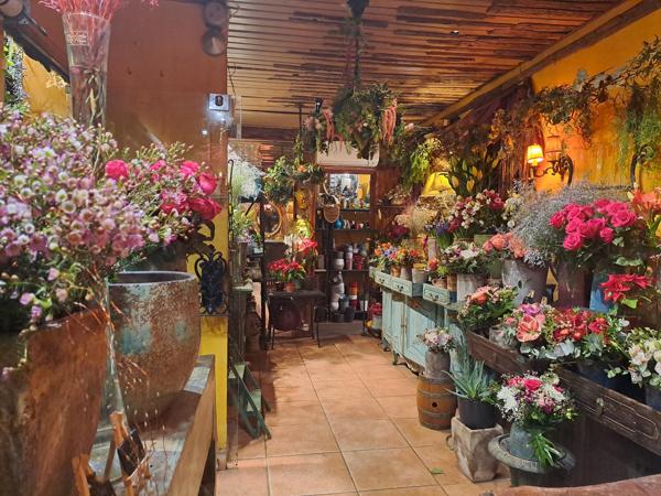 Fonds De Commerce - 41 m²