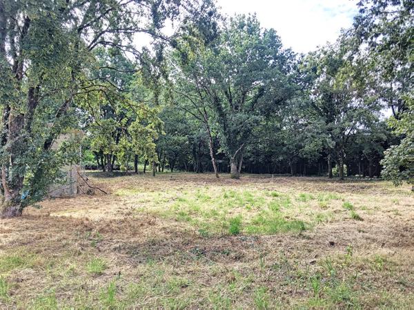 Terrain constructible sur 208.90m² au sol- Les Grouets - Blois - 2089 m² -environnement de 1er choix